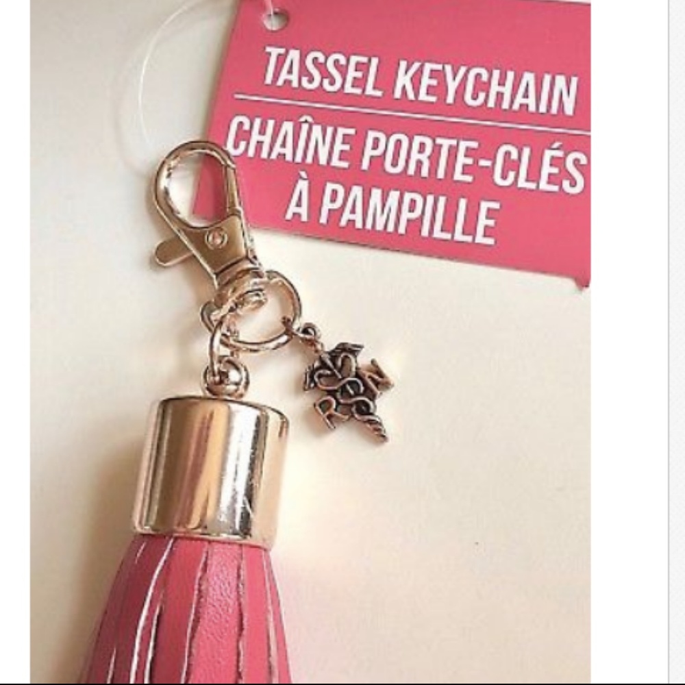 RN Caduceus Nursing Keychain Purse Charm Tassel Nurse Graduation Gift